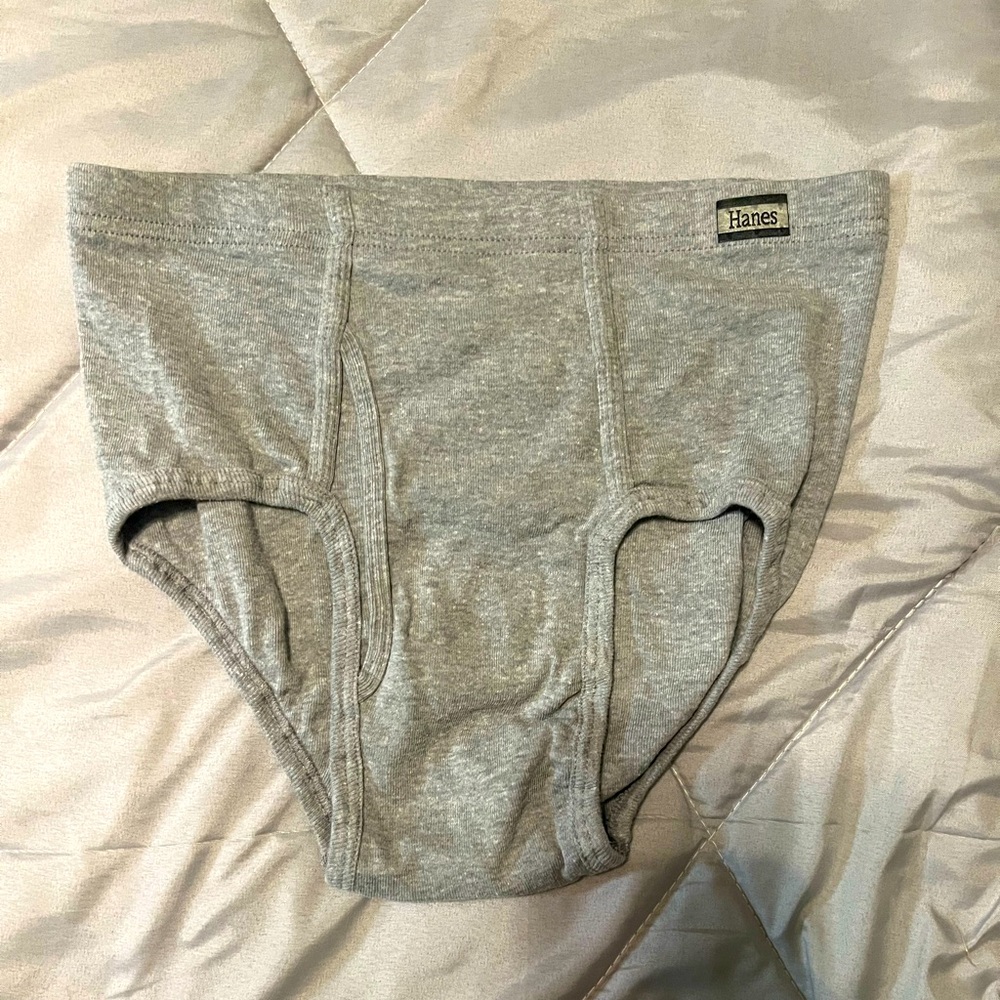Hanes Men's Classic Gray Briefs